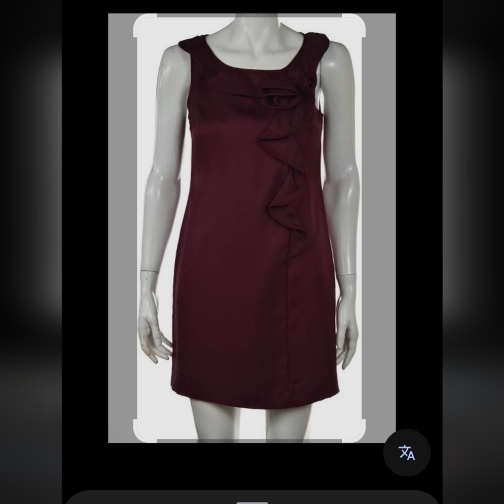 Banana Republic Burgundy Ruffle Mini Dress